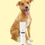 DOG Sensitive skin cream