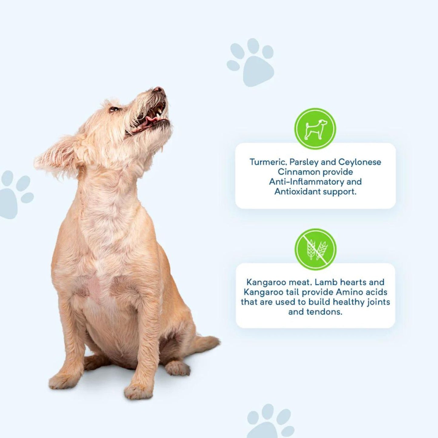 Natural Joint Health Dog Treats