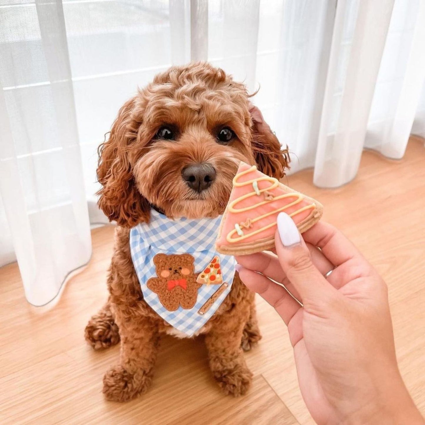 Pizza Slice Dog Cookie