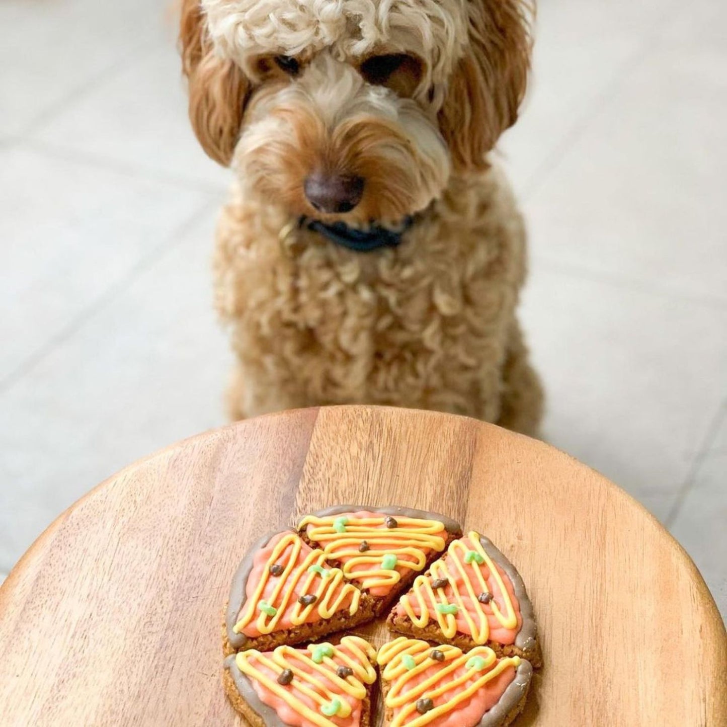Pizza Slice Dog Cookie
