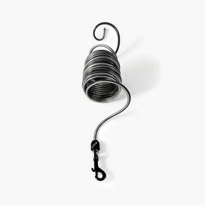 Track 'n Train Slimline Dog Leash - Peticular