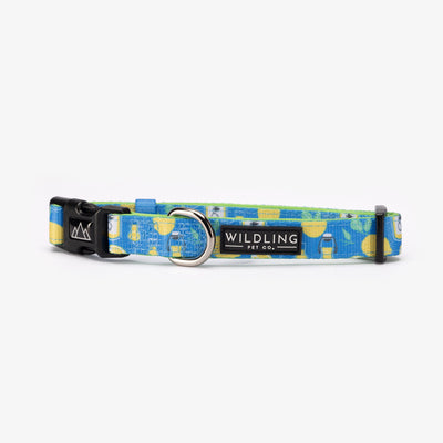 Zesty Bay Dog Collar