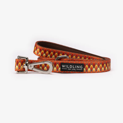 Sandy flames Dog Leash