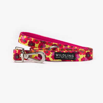 Dune Bloom Dog Leash