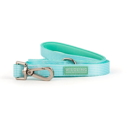 Remix Dog Leash | Minty