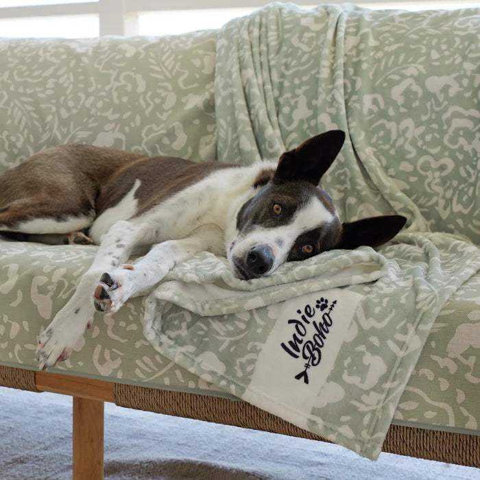 Designer Pet Blanket | Neutral Brushtrokes