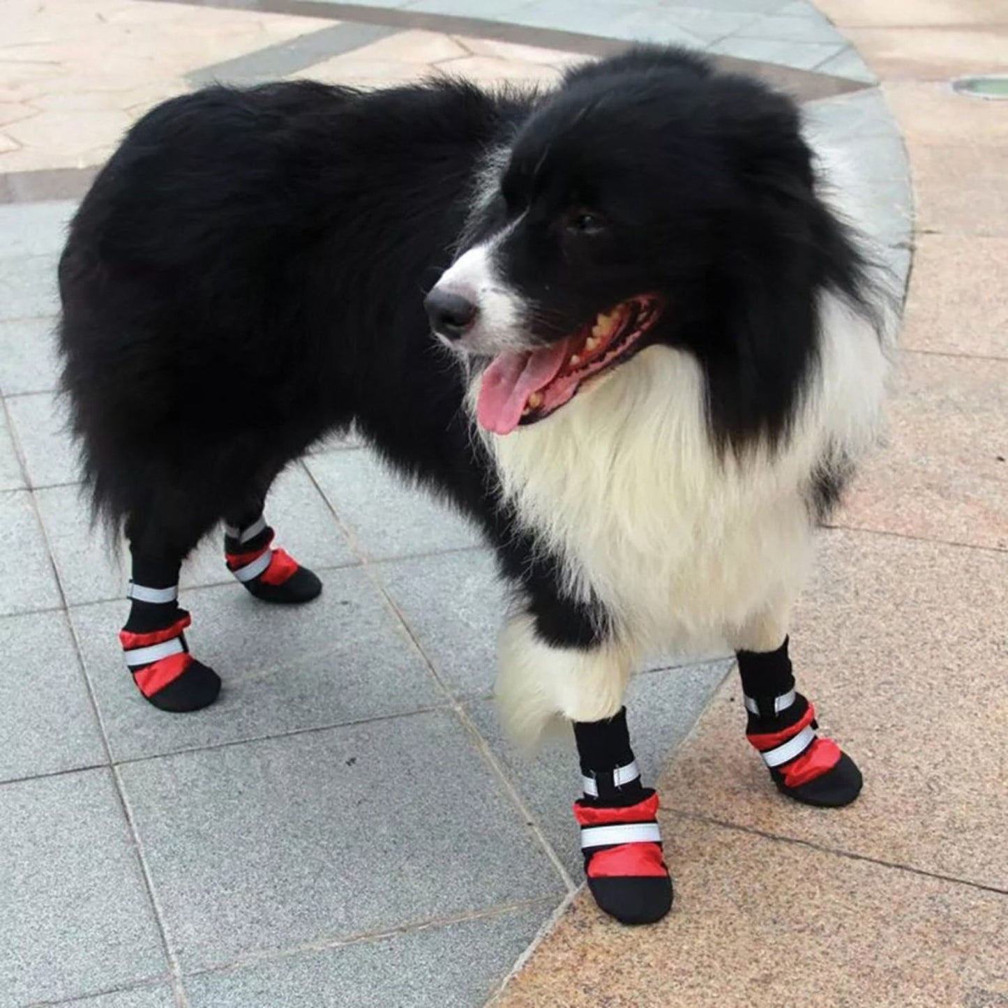 Rubber Sole Dog Boots