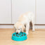ZippyPaws Donut Happy Bowl - Slow Feeder for dogs