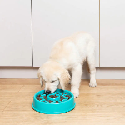 ZippyPaws Donut Happy Bowl - Slow Feeder for dogs