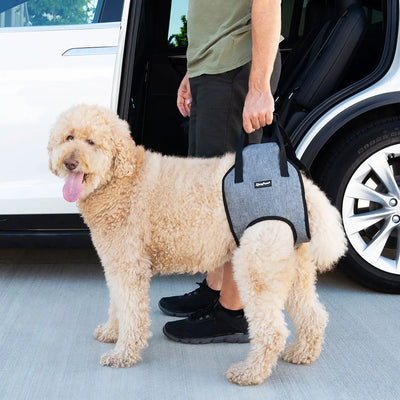 ZippyPaws Support Lift Harness