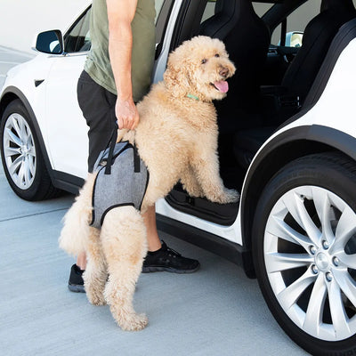 ZippyPaws Support Lift Harness