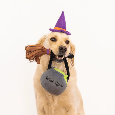 ZippyPaws Halloween Costume - witch