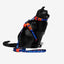 Zee.Cat Cat Harness + Leash Set | Atlanta