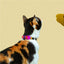 Zee.Cat Prisma Cat Collar