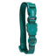 NeoPro Weatherproof Collar | Amazonia