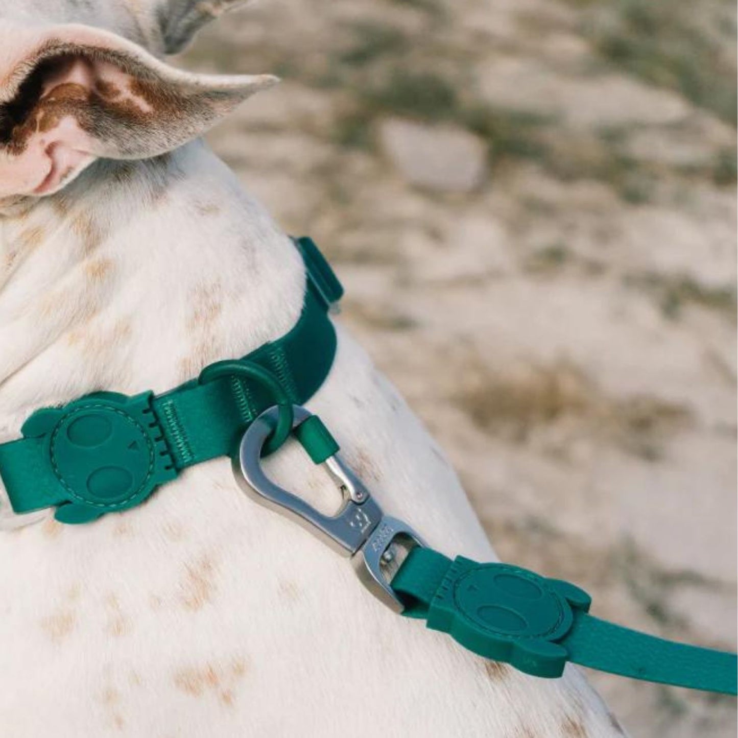 NeoPro Weatherproof Collar | Amazonia