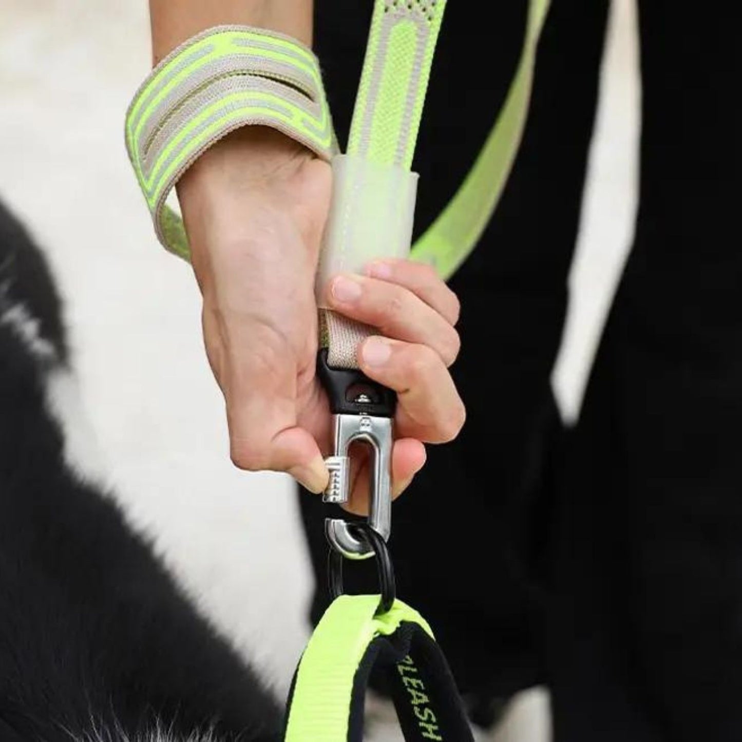 Ultra Lightweight Dog NitLeash | Gluten