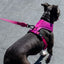 Pink LED Adjustable Air Mesh Dog Harness