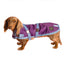 Dachshund Dog Coat | Purple/Blue