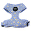 Blue Daisy | Adjustable Dog Harness