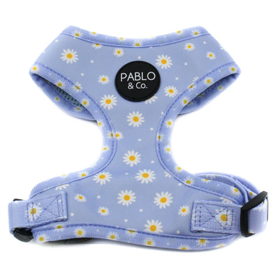 Blue Daisy | Adjustable Dog Harness