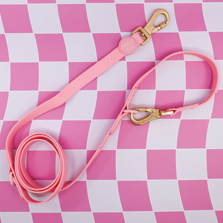 Bubblegum Waterproof Multifunctional Leash