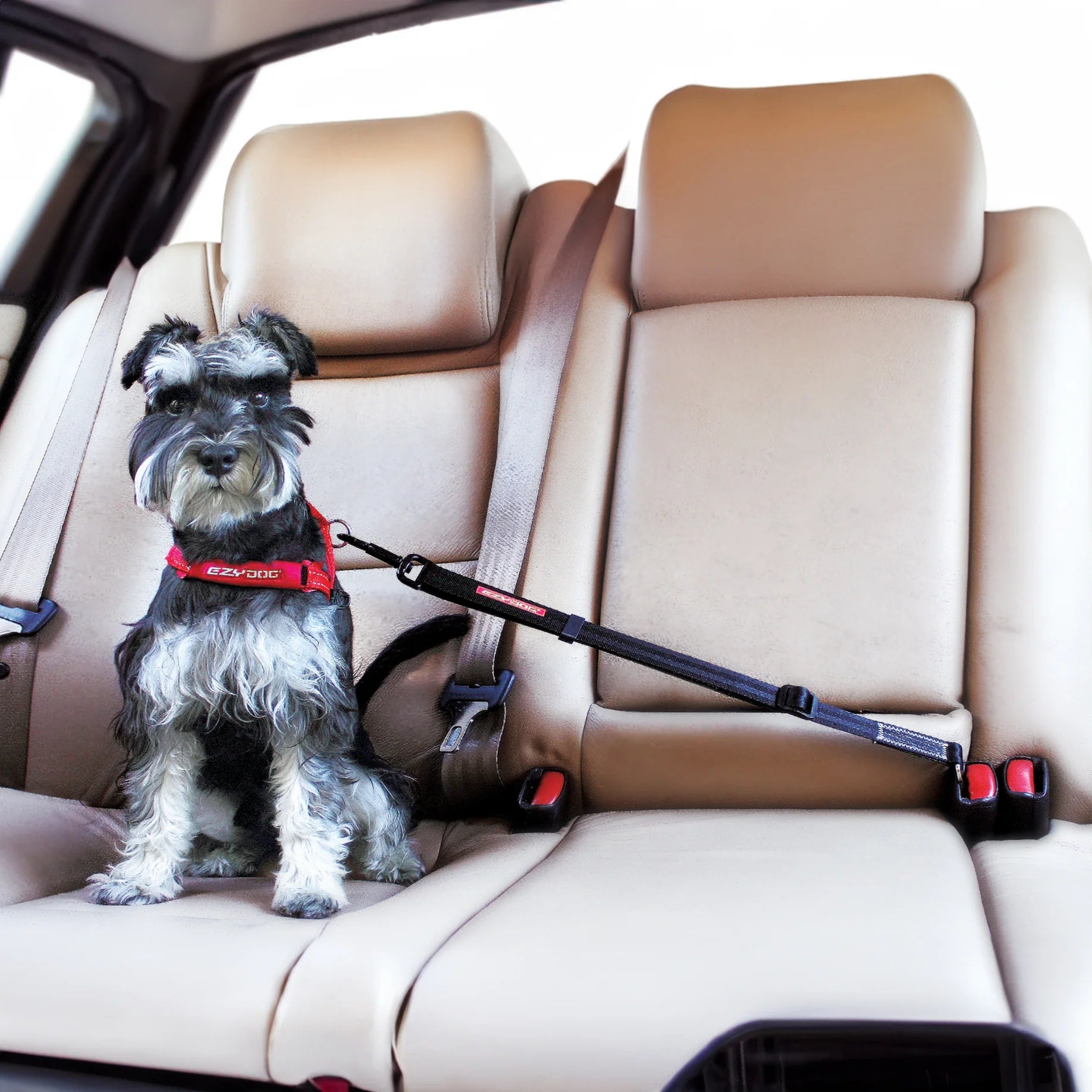 EzyDog Adjustable Car Restraint for dogs – Peticular