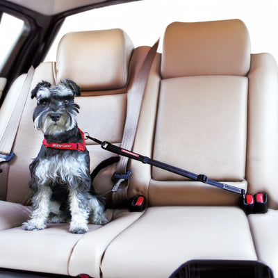 EzyDog Adjustable Car Restraint for dogs