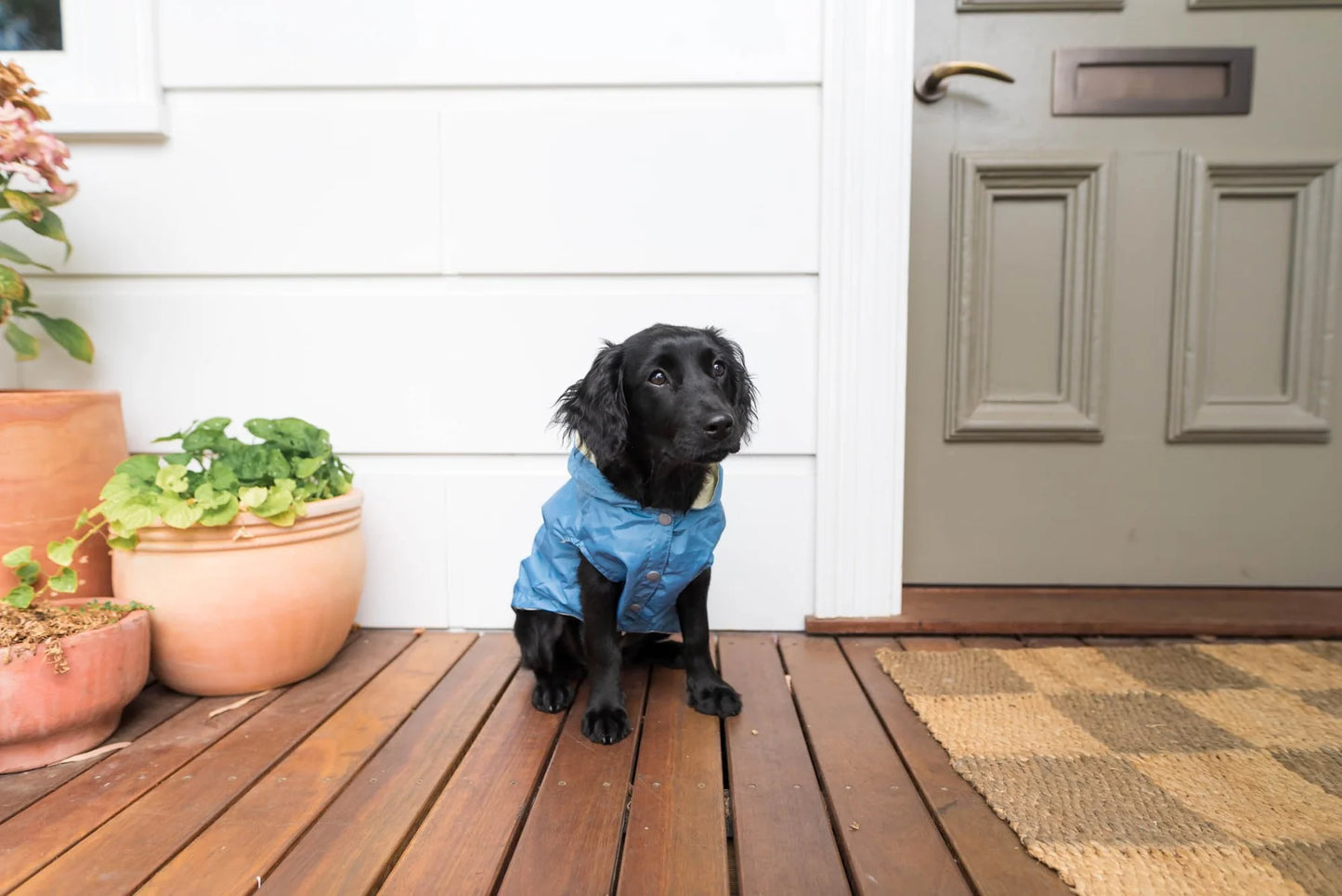 Fuzz Yard Rain coat