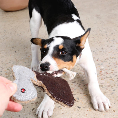 Outback Animal Toy |  Ernie the Emu
