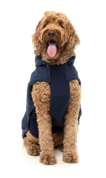 Essential Padded Jacket | Fuzzyard