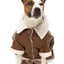 Aviator Dog Jacket