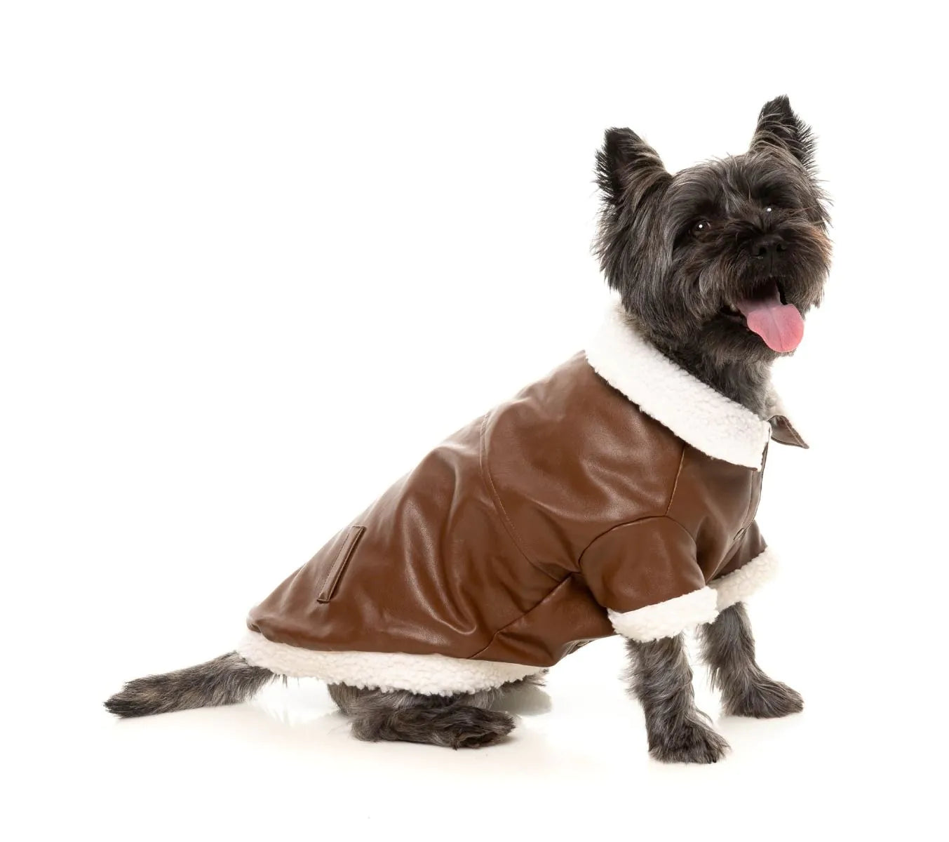 Aviator Dog Jacket