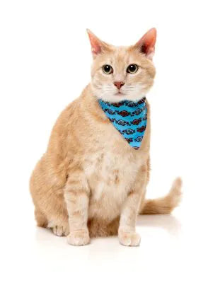 FuzzYard Life Cat Fashion Pack