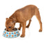 FuzzYard - Ahoy There! Dog Bowl - Peticular