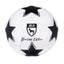 Plush Soccer Ball Dog Toy - Peticular