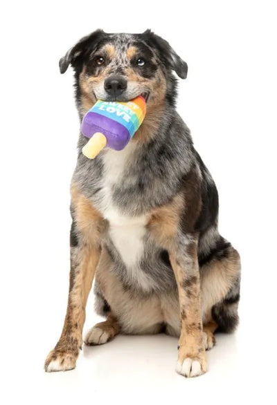 Fuzzyard - Love icy pole