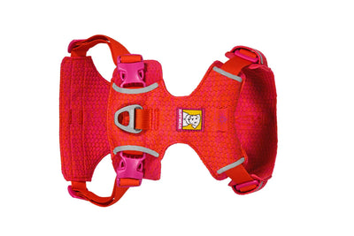 Front Range Flex Knit Harness | Rose Violet - Peticular