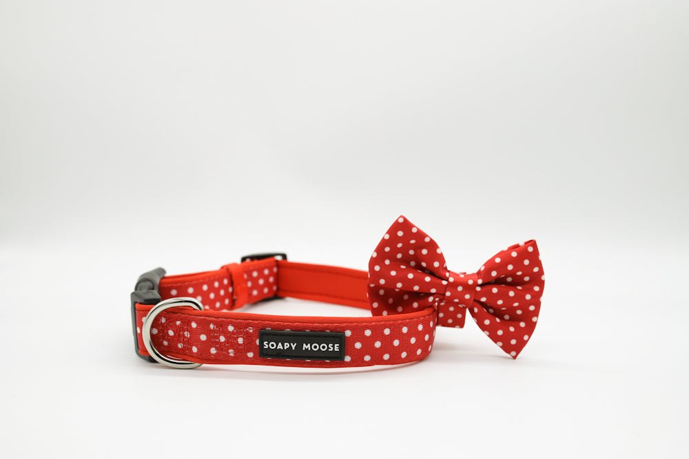 Red & White Polka Dots Collar & Bow Tie