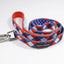 The Trend Setter Leash