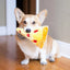 ZippyPaws NomNomz Pizza Slice