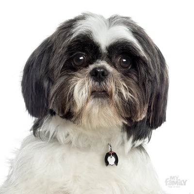 My Family Pet ID Tag | Shih Tzu + FREE Engraving | Peticular