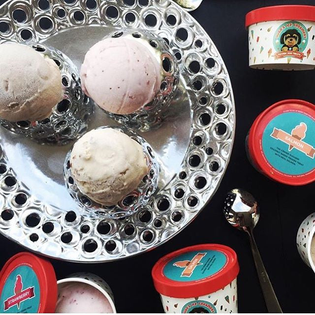 Hugo's Ice Creamery Doggie Ice Cream | Peticular