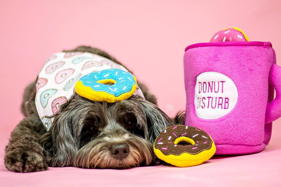Zippy Paws Interactive Dog Toy | Coffee & Donutz | Peticular