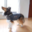 ThunderWorks ThunderShirt | Dog Anxiety Vest | Peticular