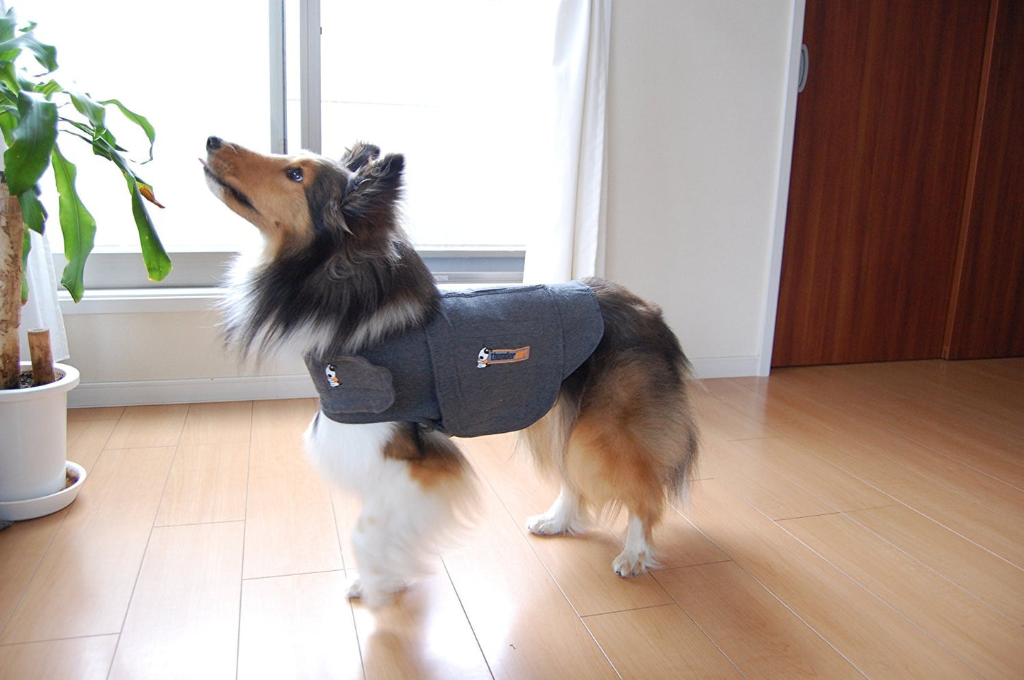 ThunderWorks ThunderShirt | Dog Anxiety Vest | Peticular