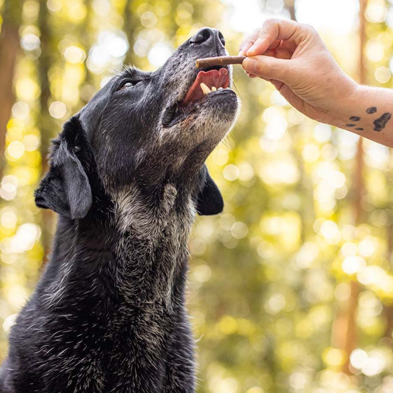 Aussie Mini Snags | Beef Dog Treats