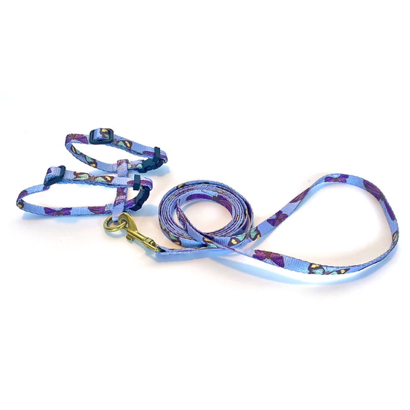 Bobby The Butterfly Cat Harness & Lead