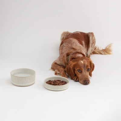 Natural White Scalloped Stoneware | Dog Food Bowl