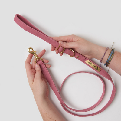 Dusty Pink | Easy Tie Flat Dog Leash